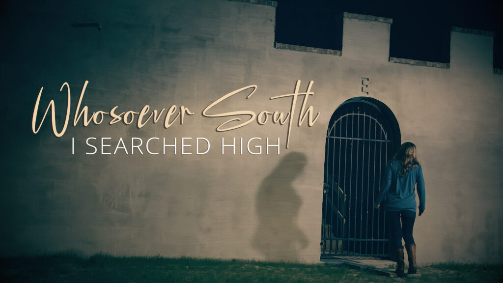 Whosoever South – I Searched High
